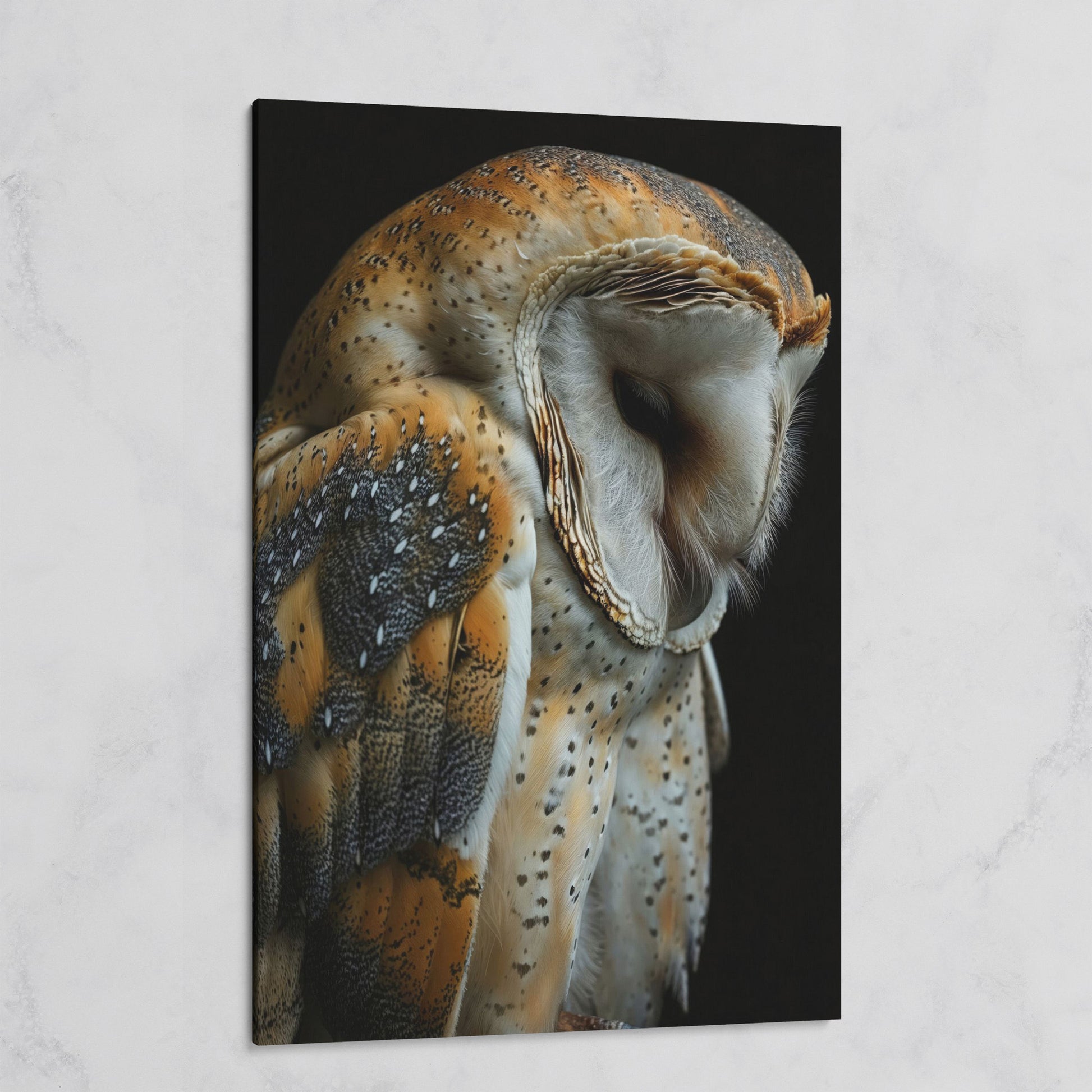 Barn Owl Portrait Canvas Print on gallery wrap
