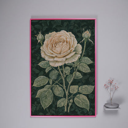 Vintage White Rose on Dark Emerald Canvas in pink floating frame