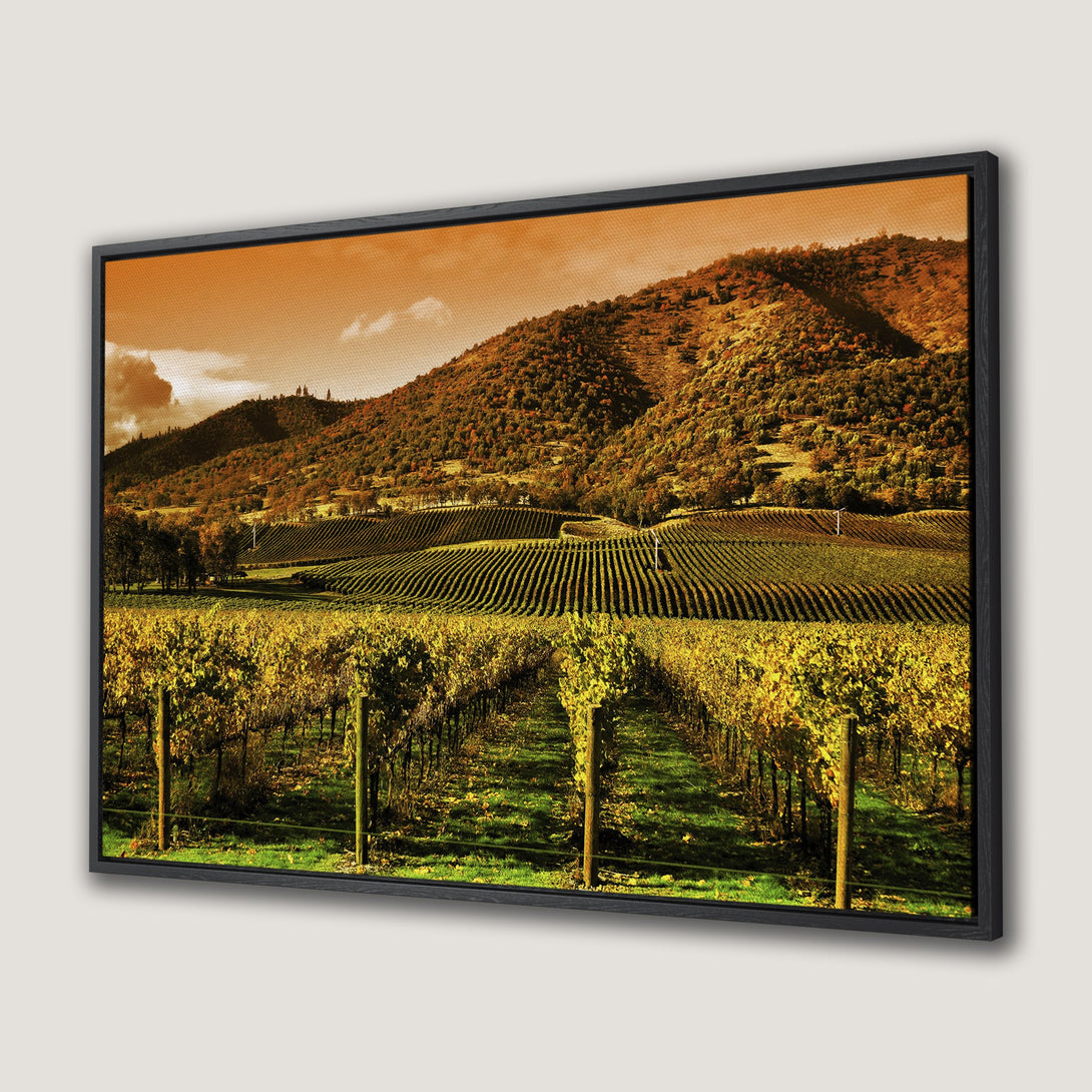 Framed Wall Art: Stunning vineyard landscape Canvas Print in warm autumn tones. Bring the beauty of nature into your home!