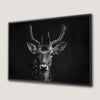 Adorable Fawn Black and White Canvas Print Art Decor