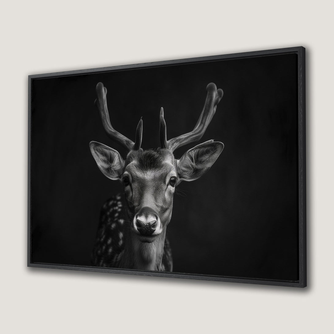 Framed Wall Art: Stunning black and white Canvas Print of a majestic deer. Modern, minimalist design with a captivating monochrome palette.