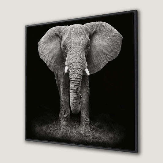 African Elephant Extra Large Canvas Print Art Decor