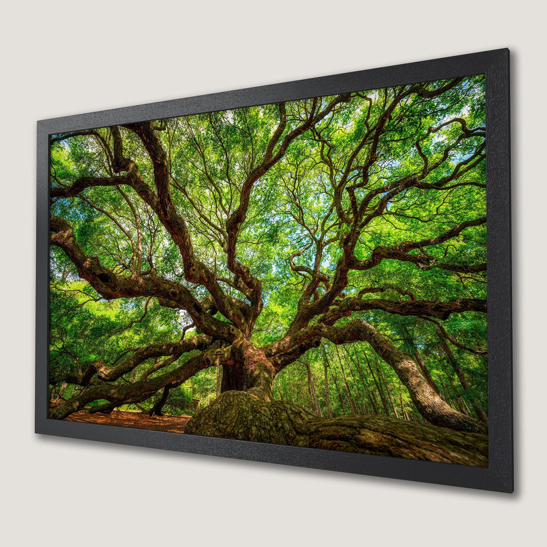 Framed Poster of majestic tree with green foliage, natural style, earthy tones. Perfect wall art.
