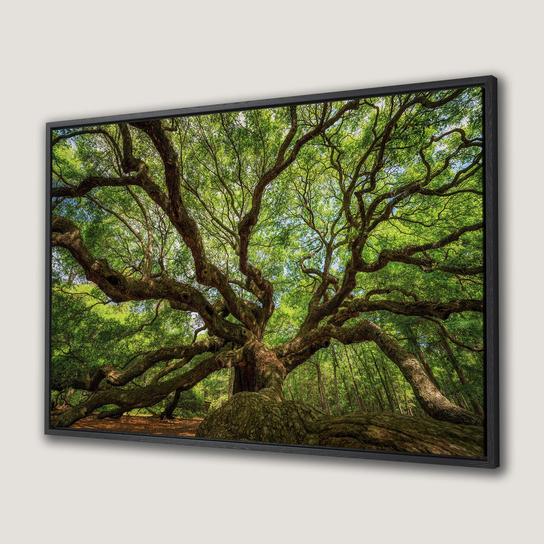 Framed Wall Art featuring a majestic tree with vibrant green foliage. Earthy tones of brown and green create a natural, calming aesthetic. Perfect for nature lovers!