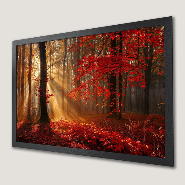 Framed Poster of a vibrant autumn forest scene with red and gold leaves. Stunning landscape art for your home!