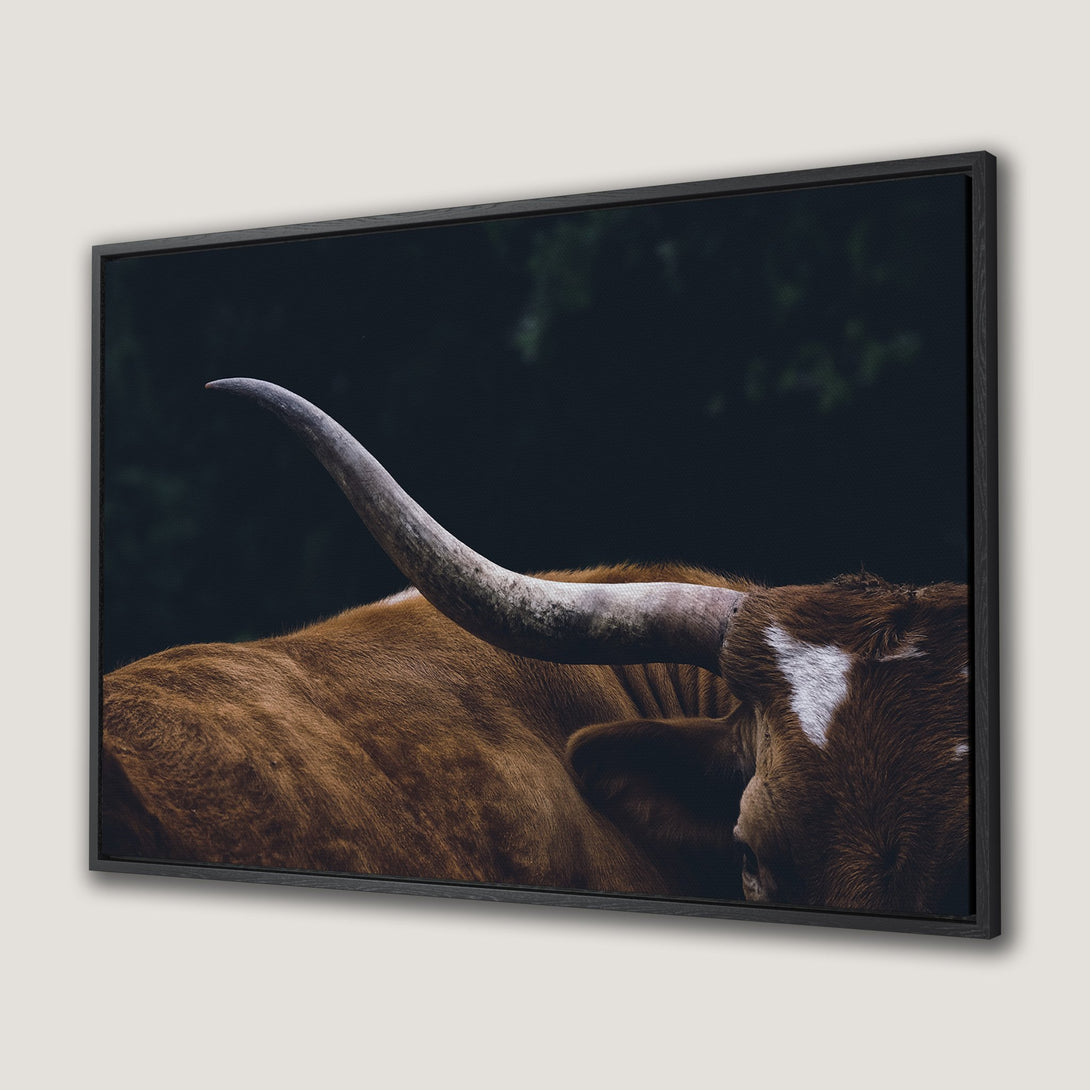 Framed Wall Art: Moody close-up of a longhorn, showcasing warm brown tones against a dark backdrop. Rustic, nature-inspired decor for your home.