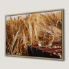 Golden Field with Whiskey Glass Canvas Print for Bars