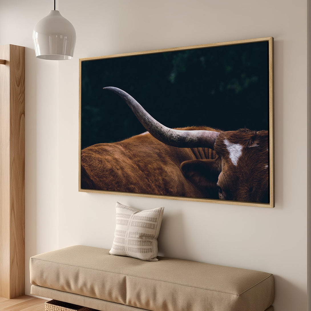 Framed Wall Art: Close-up of a Texas Longhorn in a dark, moody style. Earthy tones of brown, black, and white. Perfect for rustic decor.