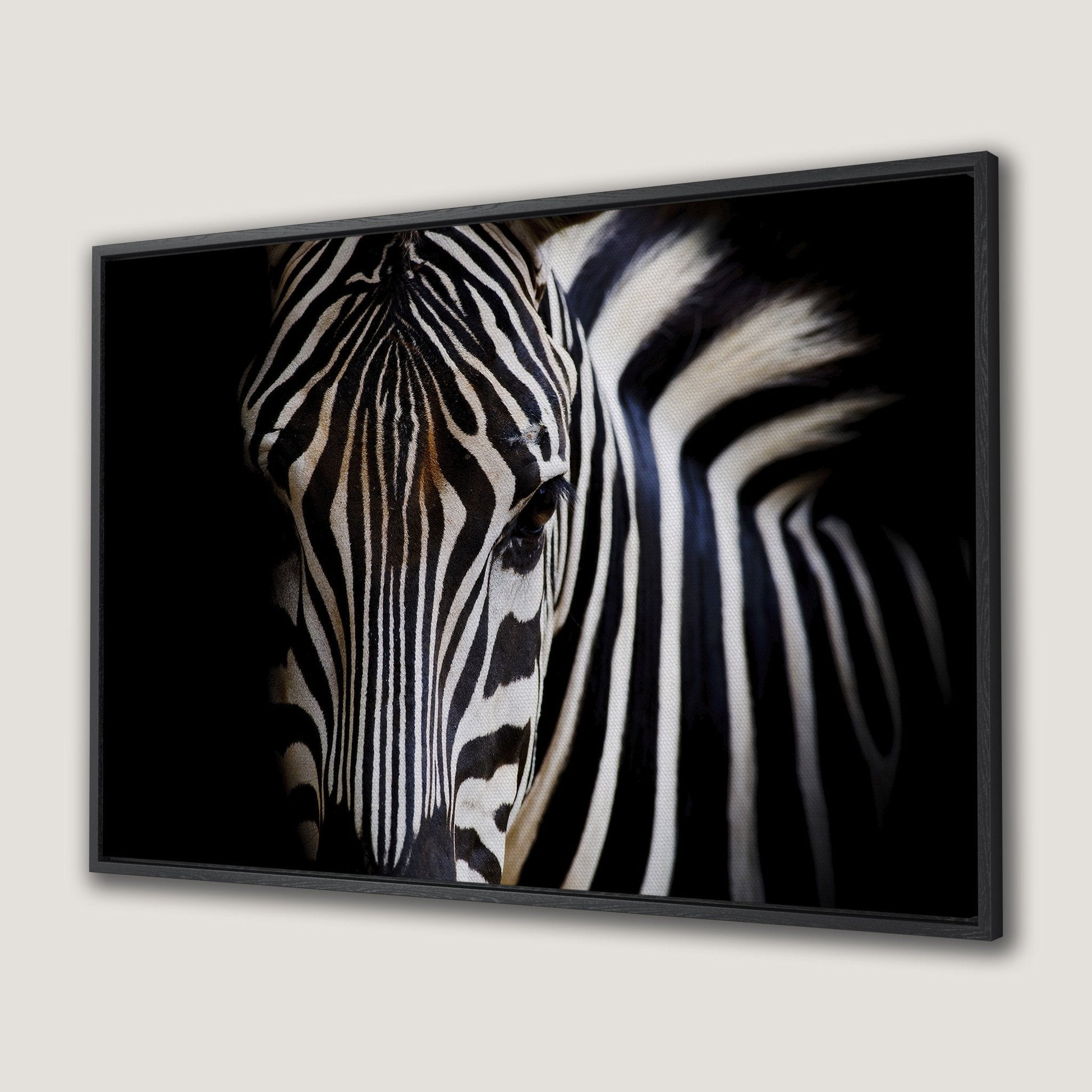 Black and White Zebra Safari Canvas Print Wall Art