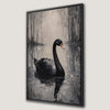 Black Swan in Foggy Pond Canvas Print Framed Art