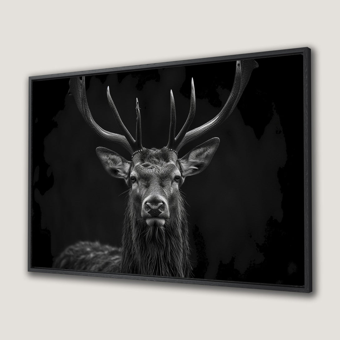 Framed Wall Art: Majestic black and white stag portrait. Modern, minimalist style. Perfect for adding a touch of wildlife elegance to your home.