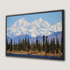 Denali the Highest Mountain Canvas Print Artwork