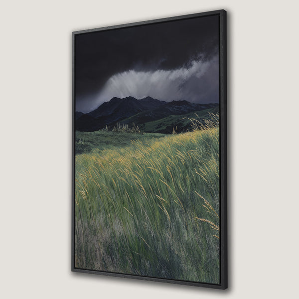 Framed Wall Art of a dramatic landscape with mountains, tall grass, and a stormy sky. Green and gold tones create a moody, natural aesthetic.