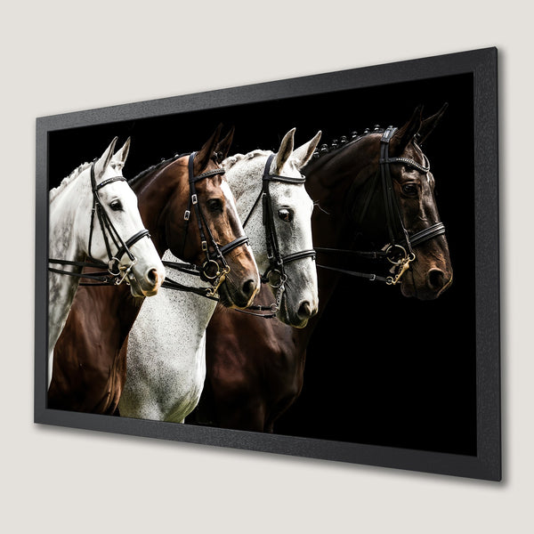Framed Poster featuring four horses in a dramatic black and white style. Equestrian art print with a striking color palette.