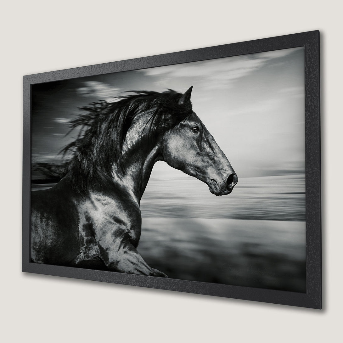 Framed Poster of a majestic black horse running. Dramatic black and white art, perfect wall decor.