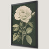 Elegant White Rose Art Poster - Botanical Wall Decor