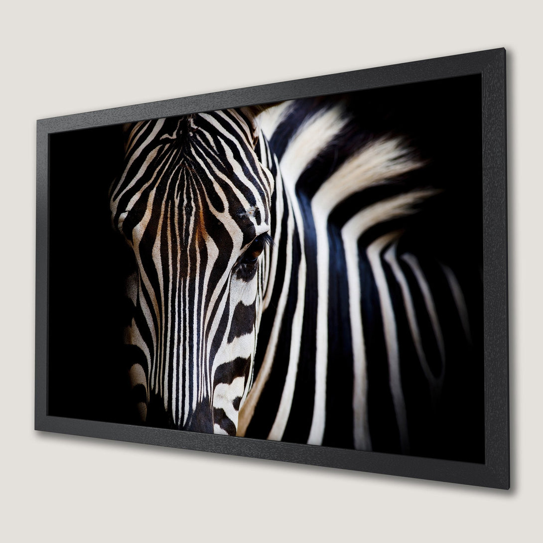 Framed Poster of a zebra in black and white, showcasing wildlife art. Dramatic, high-contrast design.
