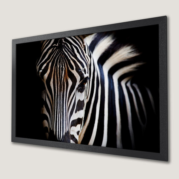 Framed Poster of a zebra in black and white, showcasing wildlife art. Dramatic, high-contrast design.