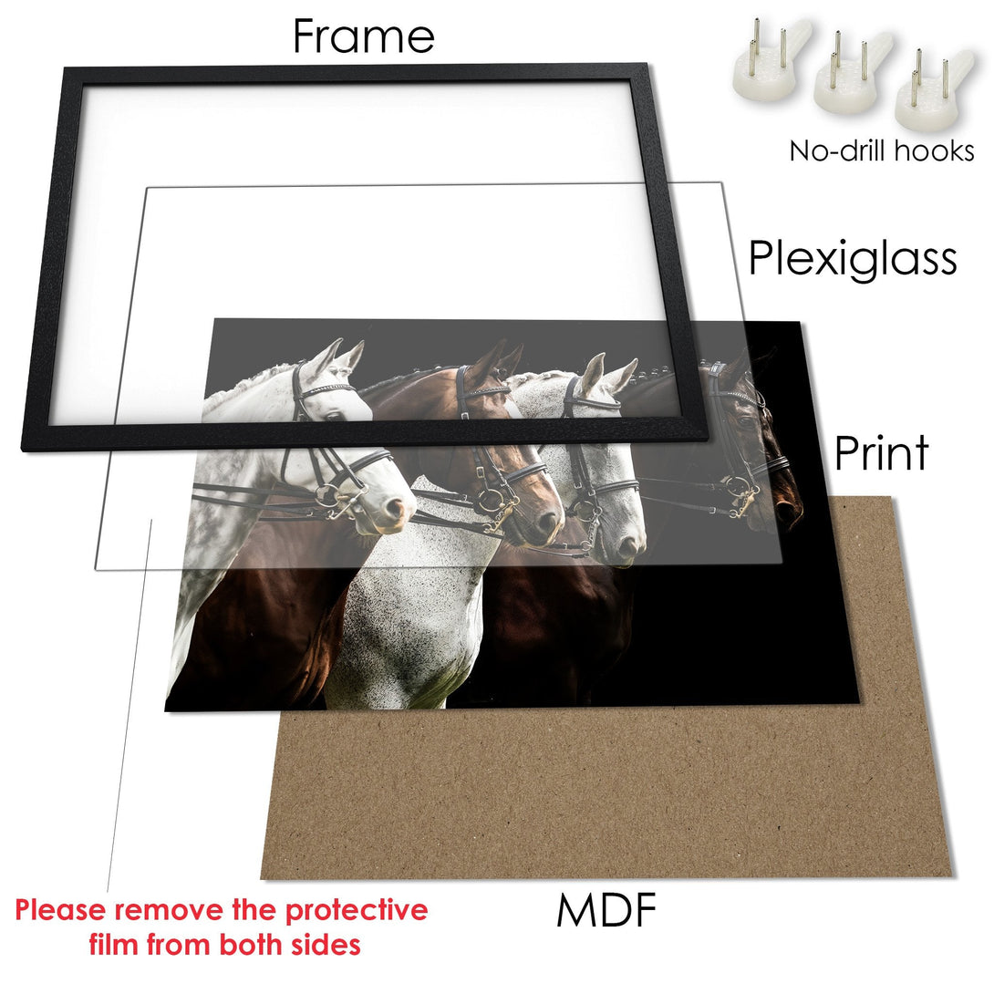 Framed Poster featuring horses in a black and white style. Elegant equestrian art for your home decor.