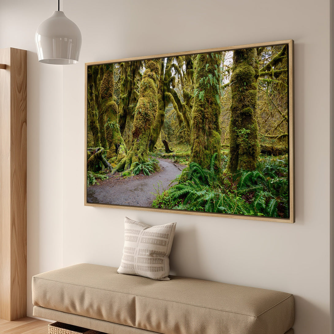 Framed Wall Art of a lush green forest path. Nature-inspired art with a vibrant green and earthy color palette. Perfect for adding tranquility to any space.