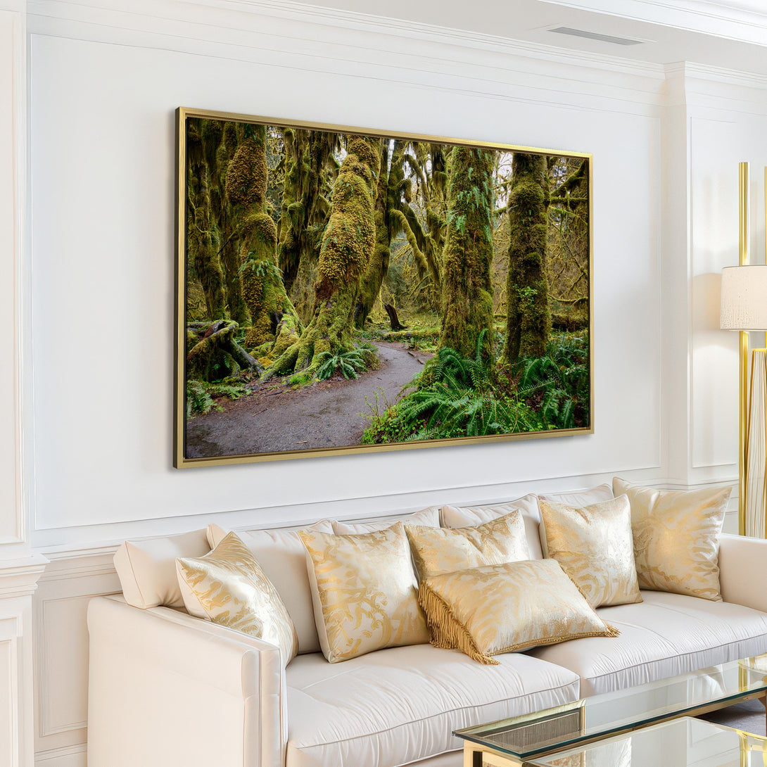 Canvas Print of a lush green forest scene, perfect for adding a touch of nature to your living room. Featuring a vibrant green and earthy tones.