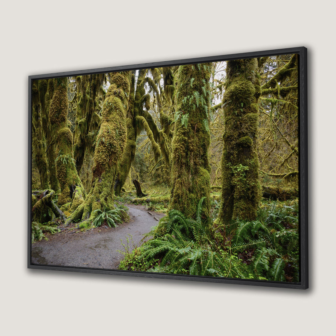 Framed Wall Art: Lush green forest scene. Bring the beauty of nature indoors with this stunning Canvas Print featuring vibrant greens & earthy tones.