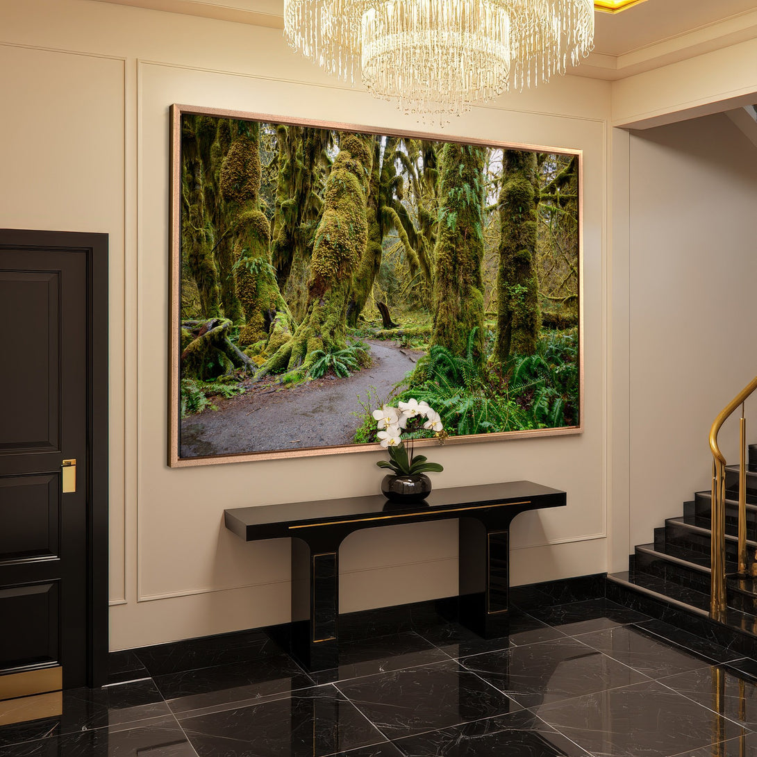 Framed Wall Art: Lush forest scene in green tones. Stunning nature photography canvas print adds a touch of elegance to any space.