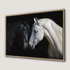 Graceful Black and White Horse Canvas Print Art