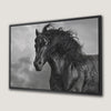 Graceful Wild Horse Black and White Canvas Print