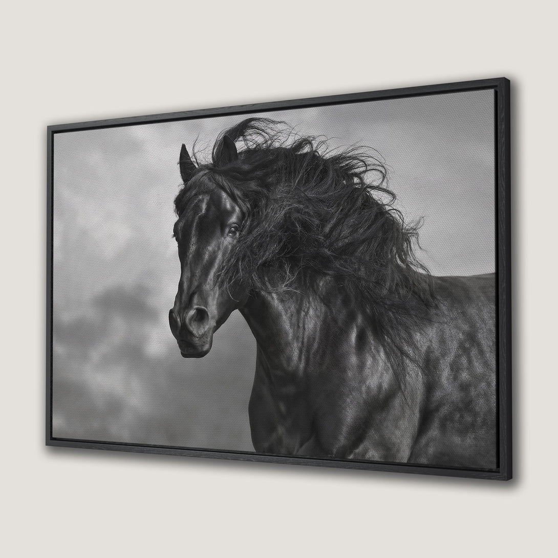 Framed Wall Art: Majestic black horse canvas print. Dramatic monochrome art for your home. Stunning equine portrait in grayscale.