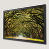 Green Oak Trees Art Poster - Savannah Landscape Decor