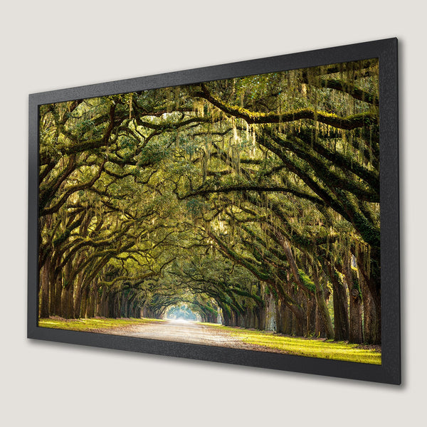 Framed Poster of a scenic tree-lined road, showcasing a natural style with green, brown, and yellow hues. Perfect for nature lovers!