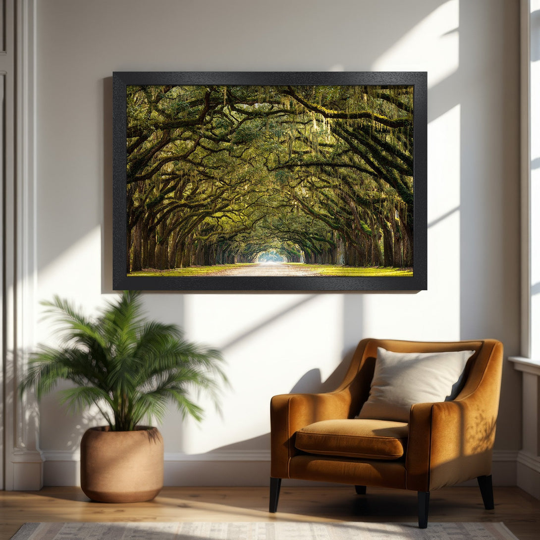 Framed Poster: Scenic tree-lined road art print. Earthy tones and natural light create a calming aesthetic. Perfect for home decor.