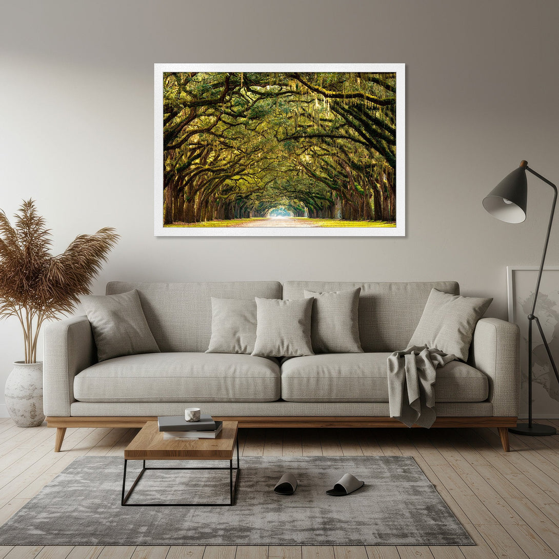 Framed Poster of a scenic tree-lined road. Natural style with green and yellow tones. Perfect for home decor.
