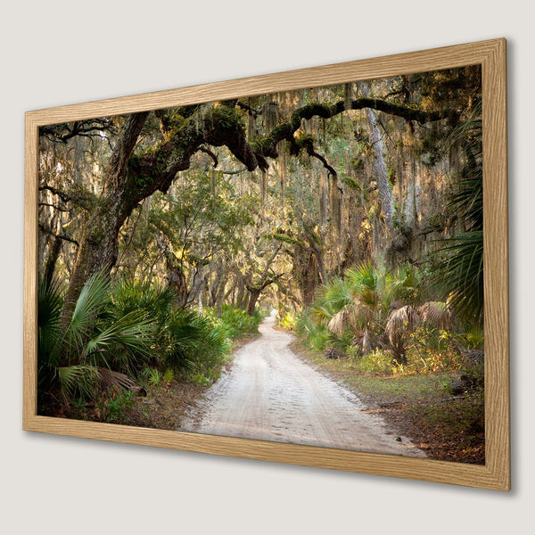 Framed Poster: Scenic dirt road through lush green forest, warm color palette, perfect wall art.