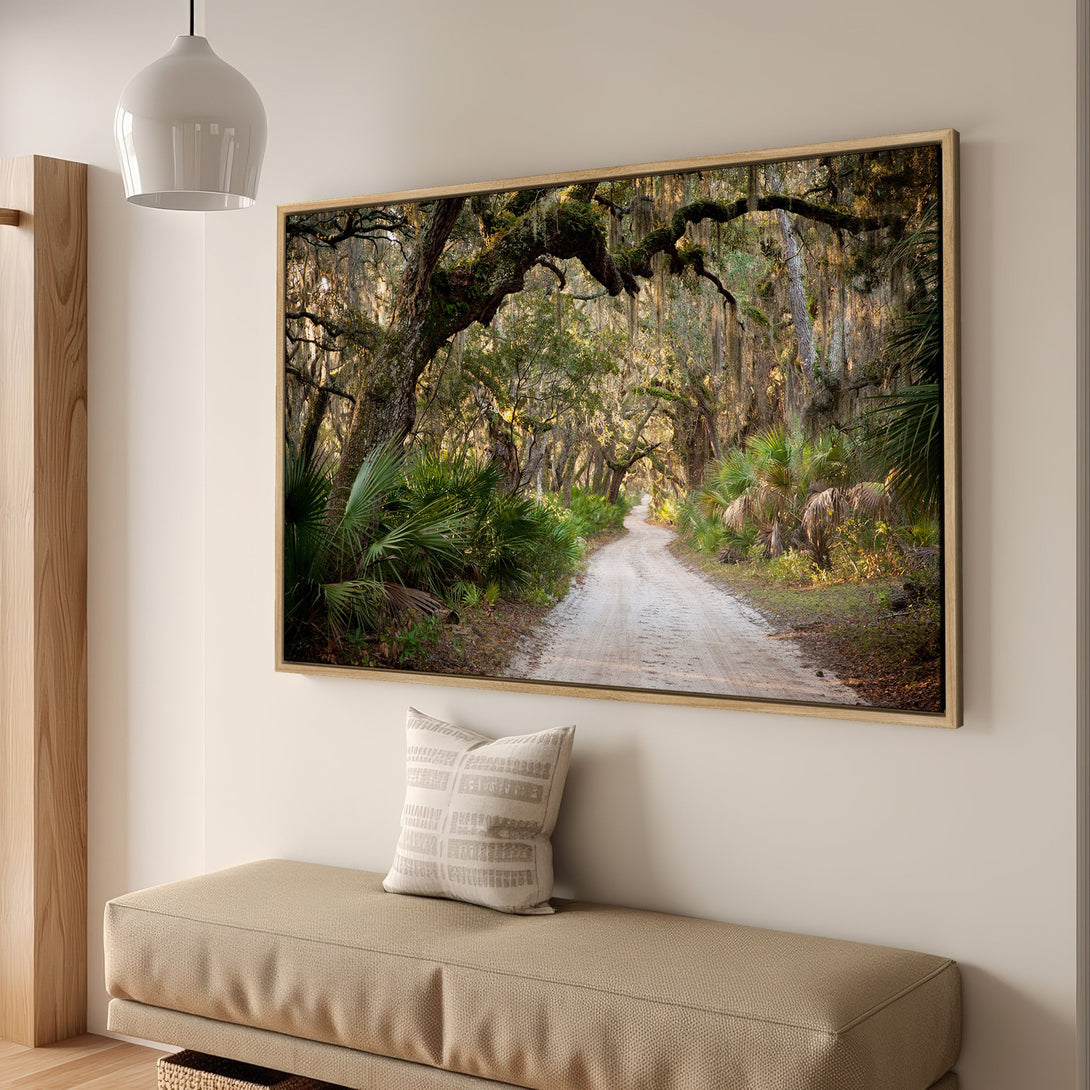 Framed Wall Art: Scenic forest path print in warm tones. Bring nature's beauty indoors with this stunning landscape canvas print.