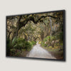 Green Trees Tunnel Canvas Print with Live Oak Trees
