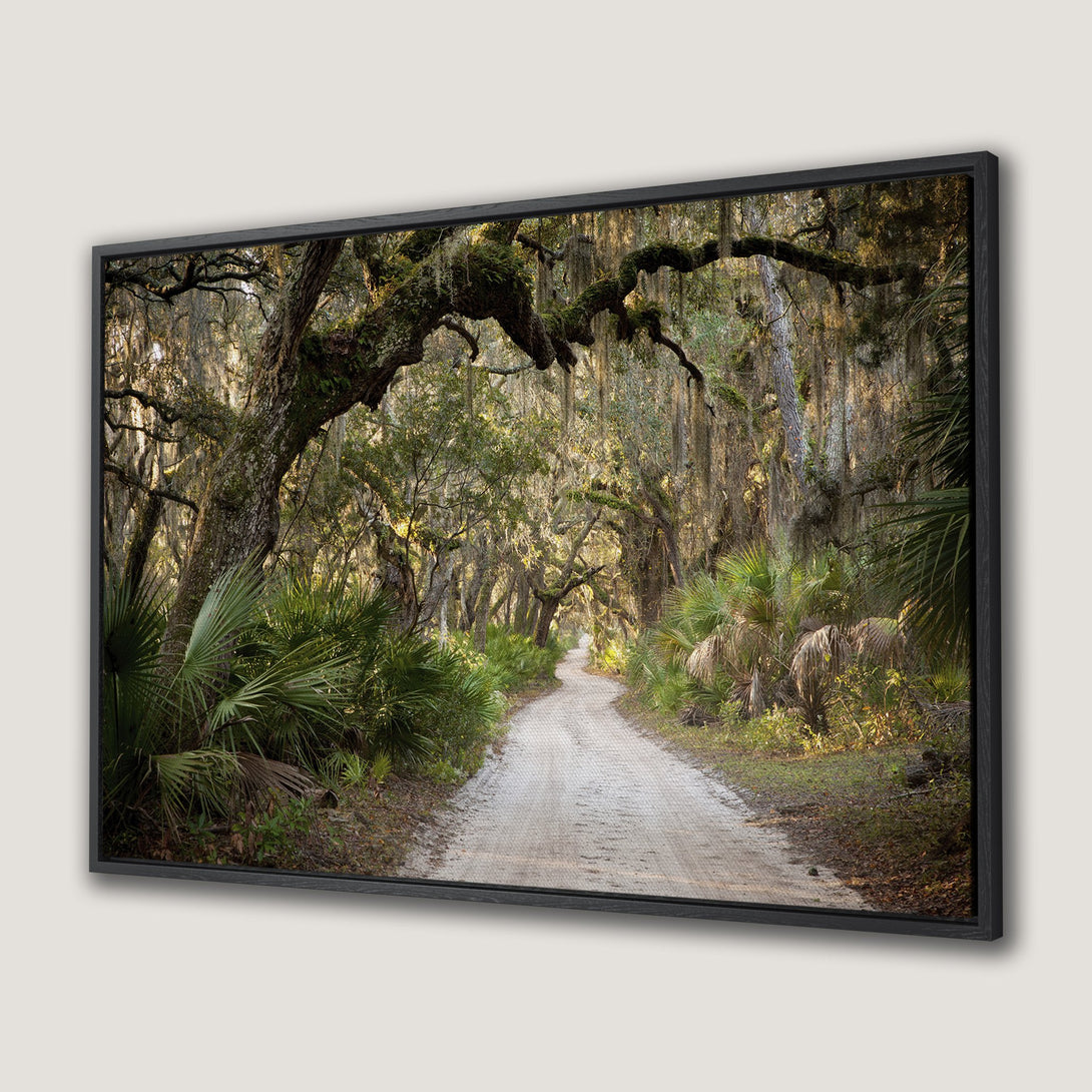 Framed Wall Art of a scenic forest road. Earthy tones and natural light create a calming, nature-inspired aesthetic for your home.