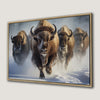 Herd of Buffalo Running Through Snowy Field Canvas Print