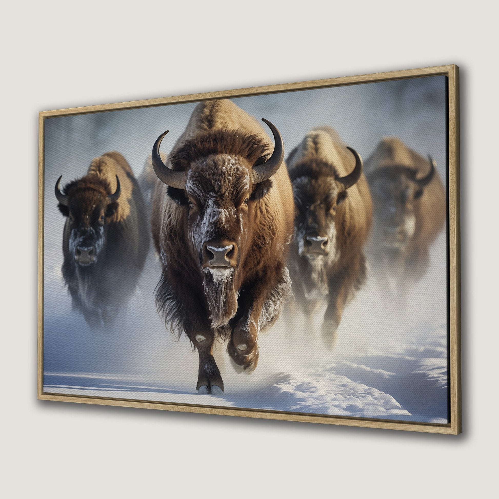 Herd of Buffalo Running Through Snowy Field Canvas Print