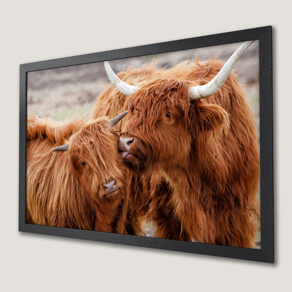 Framed Poster featuring Highland cows. Rustic style with warm brown and neutral tones. Perfect wall art for a cozy home.