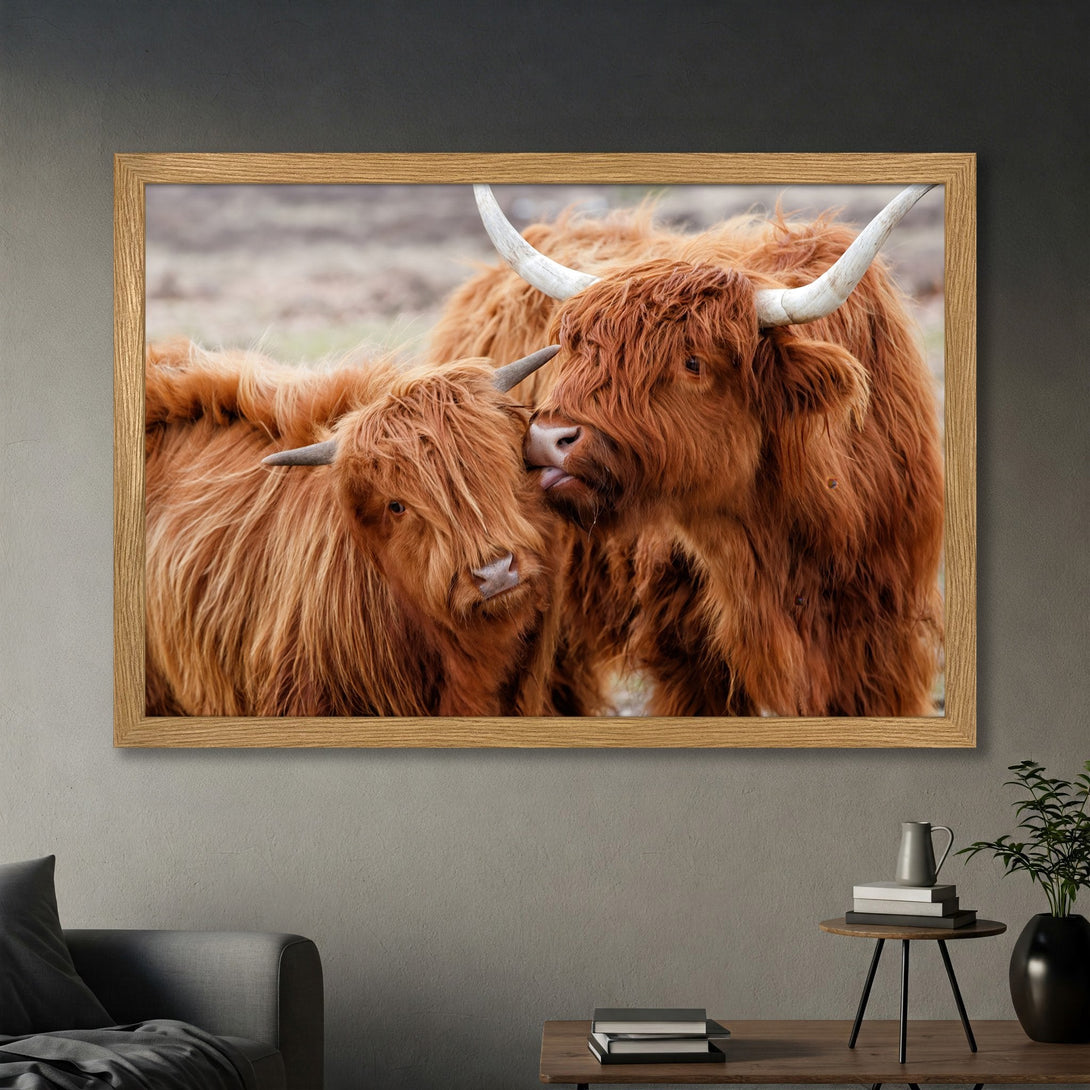 Framed Poster of Highland cows, rustic style, warm brown tones. Add a touch of nature to your home!