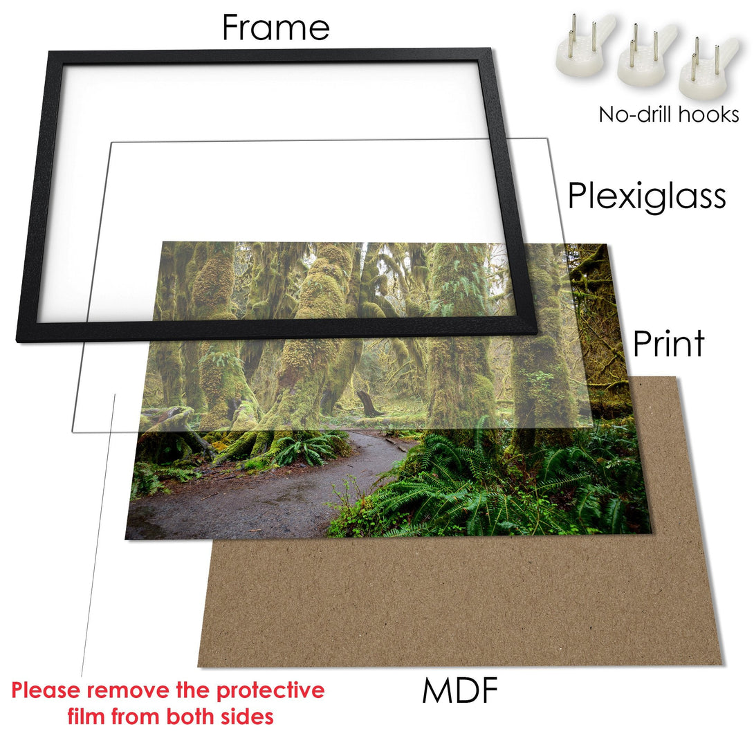Framed Poster of lush forest scene with green and brown tones. Perfect wall art for nature lovers.