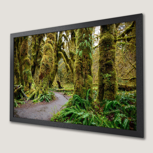 Framed Poster of lush forest scene. Nature art with green and brown tones. Bring the outdoors inside with this stunning poster!