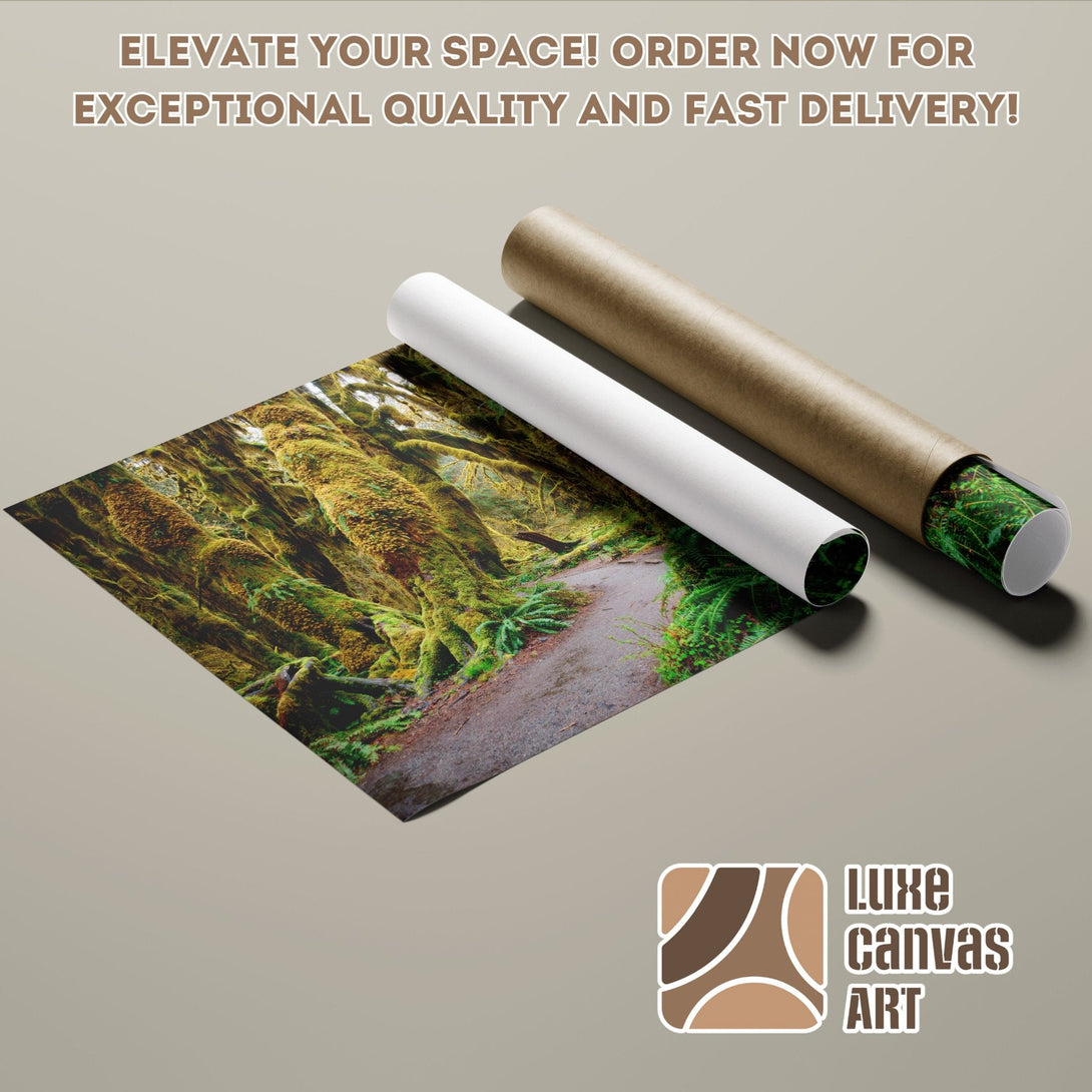 Nature Poster Roll featuring a lush green forest scene. Bring the outdoors in! Order yours today.