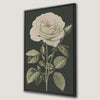 Large White Rose Framed Canvas Print Botanical Art
