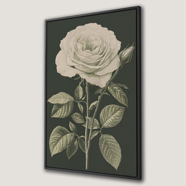 Framed Wall Art featuring a vintage botanical rose illustration in neutral tones on a dark green background. Perfect for adding elegance to any space.