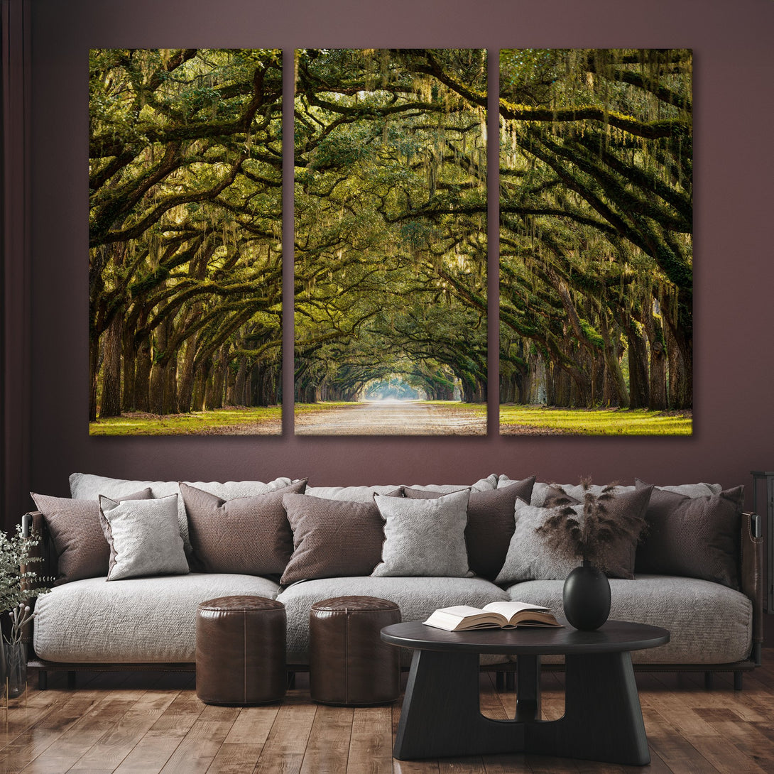 Canvas Print of a scenic tree-lined avenue. Green and brown tones create a calming, natural aesthetic. Perfect for adding a touch of nature to your space.