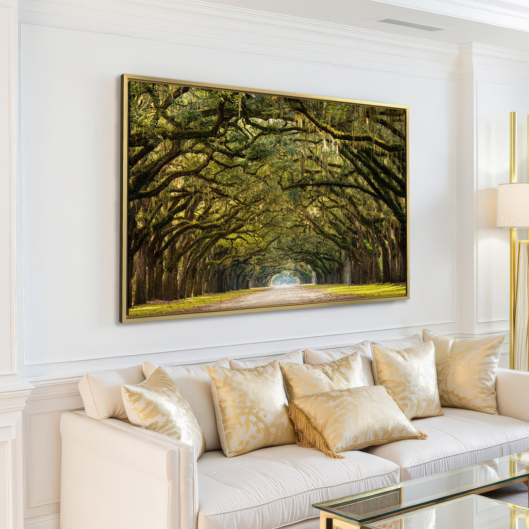 Canvas Print of a scenic tree-lined road in a living room. Earthy tones of green and brown create a calming, natural aesthetic.