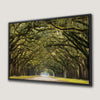 Line of Green Oak Trees Canvas Print Wall Art